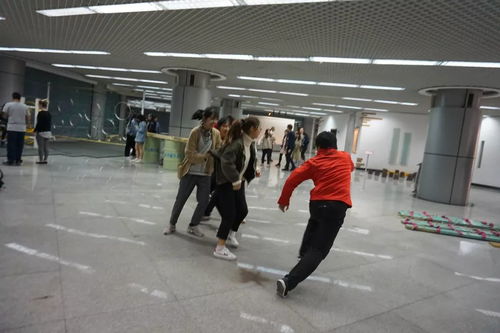 新西蘭風情文化集市 跨越山海，邀您共赴一場藝術盛宴